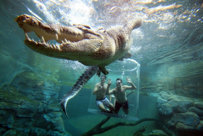 Crocosaurus Cove | Ultimate Croc Experience in Darwin