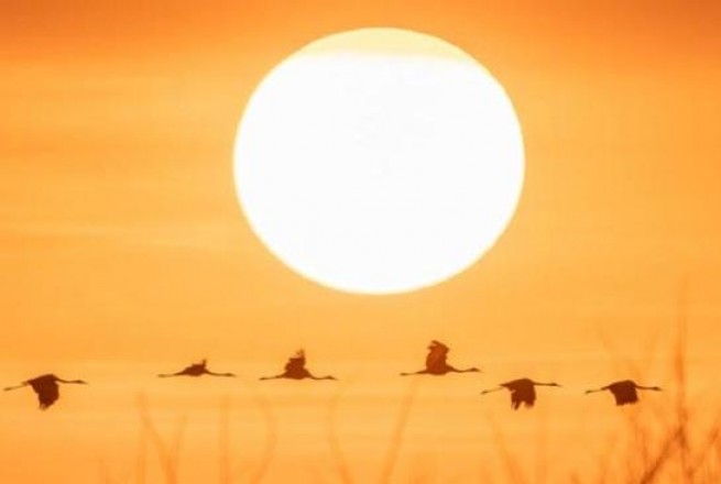 Colours of Kakadu | 2-Day Immersive Nature Experiening Tours